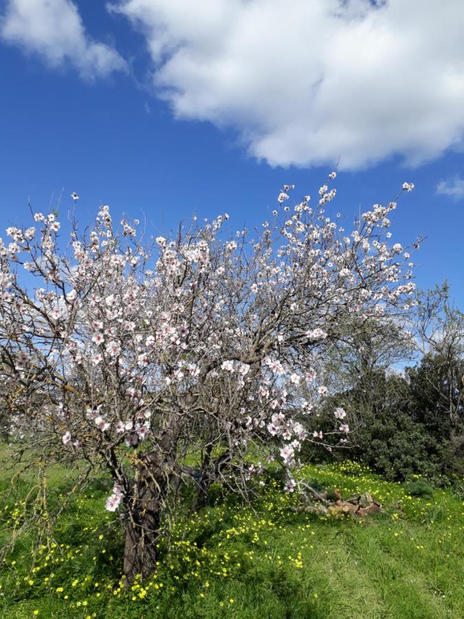 B&B S'Arrosa Antiga Santadi Kültér fotó